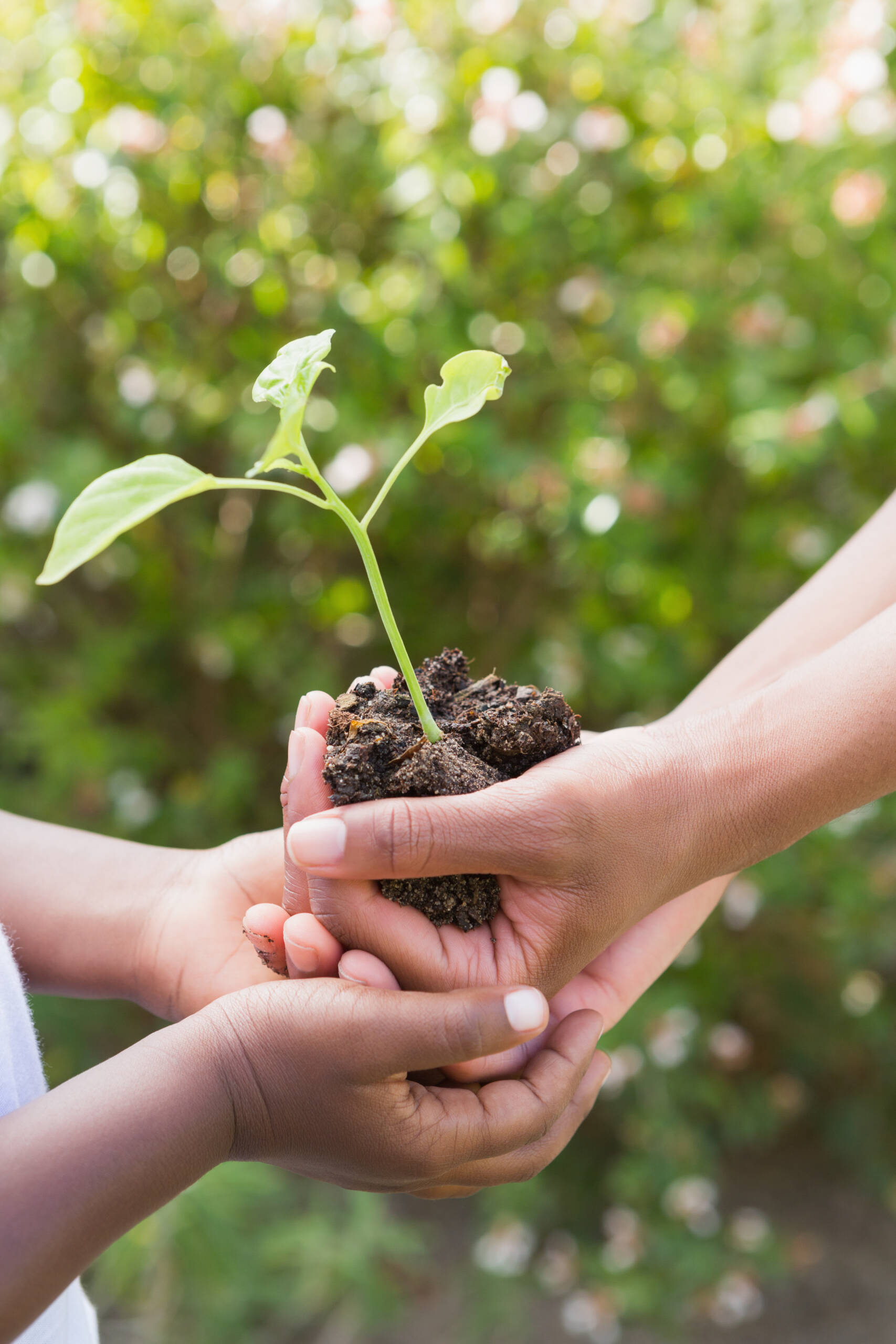 Volunteer & Community Engagement