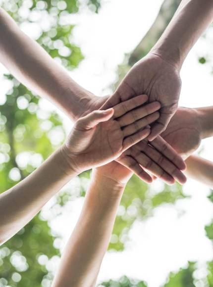 Close up team students teamwork stack hands together. Startup, Success concept.
